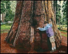 Jay-Boy Tree Hugger